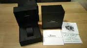 sinn5.webp