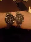 speedy.webp