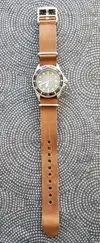 Steinhart_OVM.webp