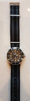 Steinhart_Phoenix.webp